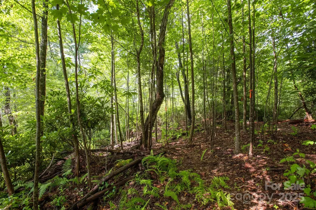 Lot # 2 Masterpiece View Drive Hendersonville NC 28739