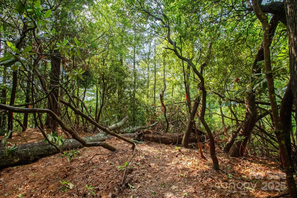Lot # 2 Masterpiece View Drive Hendersonville NC 28739