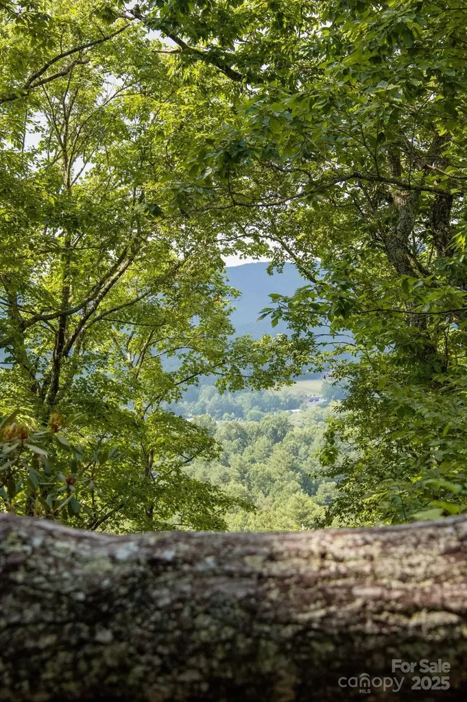 Lot # 2 Masterpiece View Drive Hendersonville NC 28739