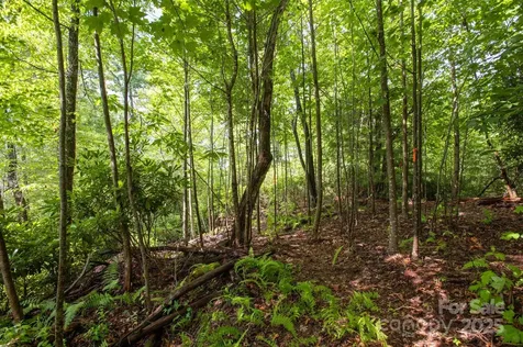 Lot # 2 Masterpiece View Drive Hendersonville NC 28739