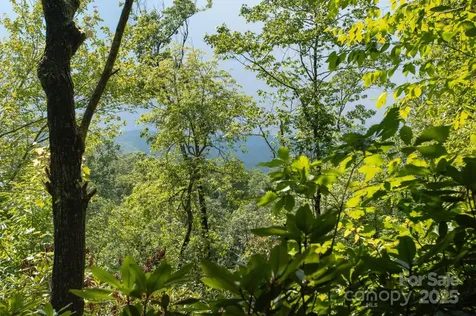 Lot # 2 Masterpiece View Drive Hendersonville NC 28739
