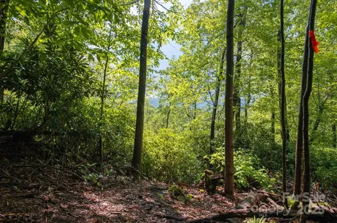 Lot # 2 Masterpiece View Drive Hendersonville NC 28739