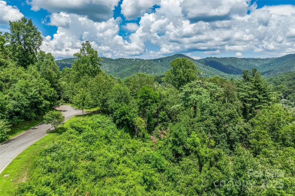 29 Grovepoint Way Asheville NC 28804