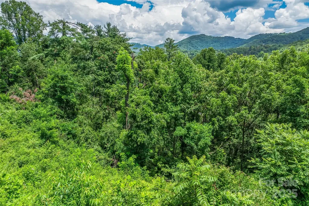 29 Grovepoint Way Asheville NC 28804