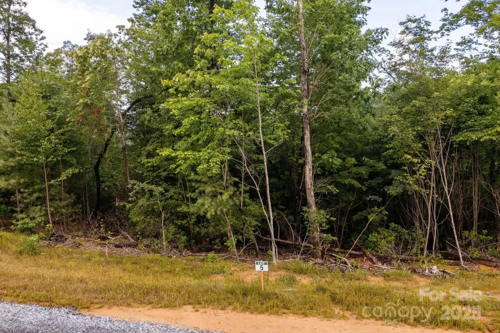 Lot # 5 Masterpiece View Drive Hendersonville NC 28739