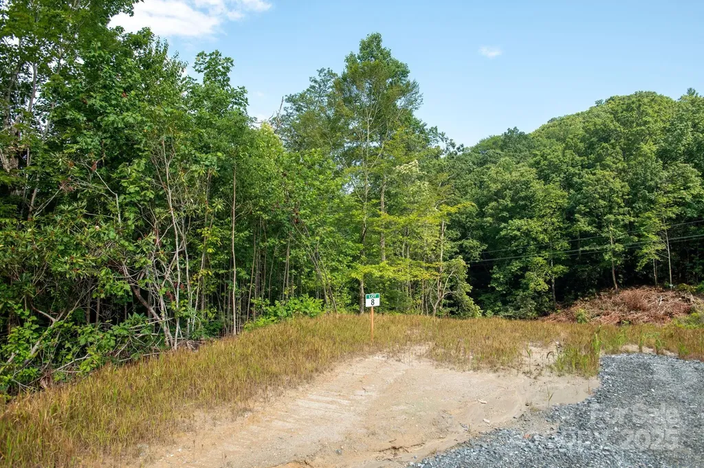 Lot # 8 Masterpiece View Drive Hendersonville NC 28739