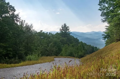 Lot # 8 Masterpiece View Drive Hendersonville NC 28739