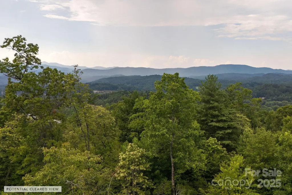 Lot # 7 Masterpiece View Drive Hendersonville NC 28739