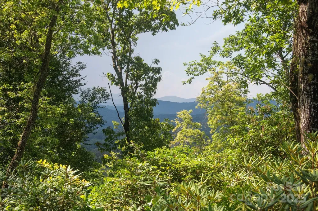 Lot # 7 Masterpiece View Drive Hendersonville NC 28739