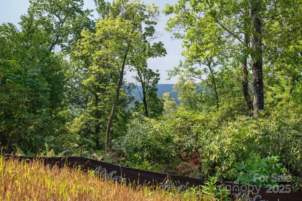 Lot # 7 Masterpiece View Drive Hendersonville NC 28739