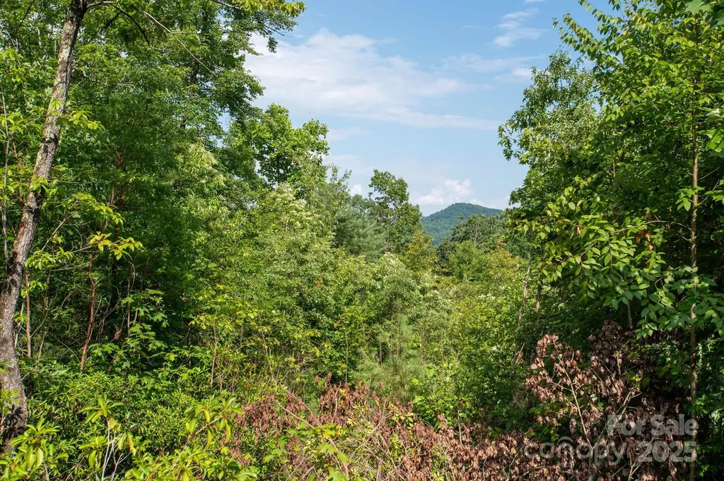 Lot # 7 Masterpiece View Drive Hendersonville NC 28739