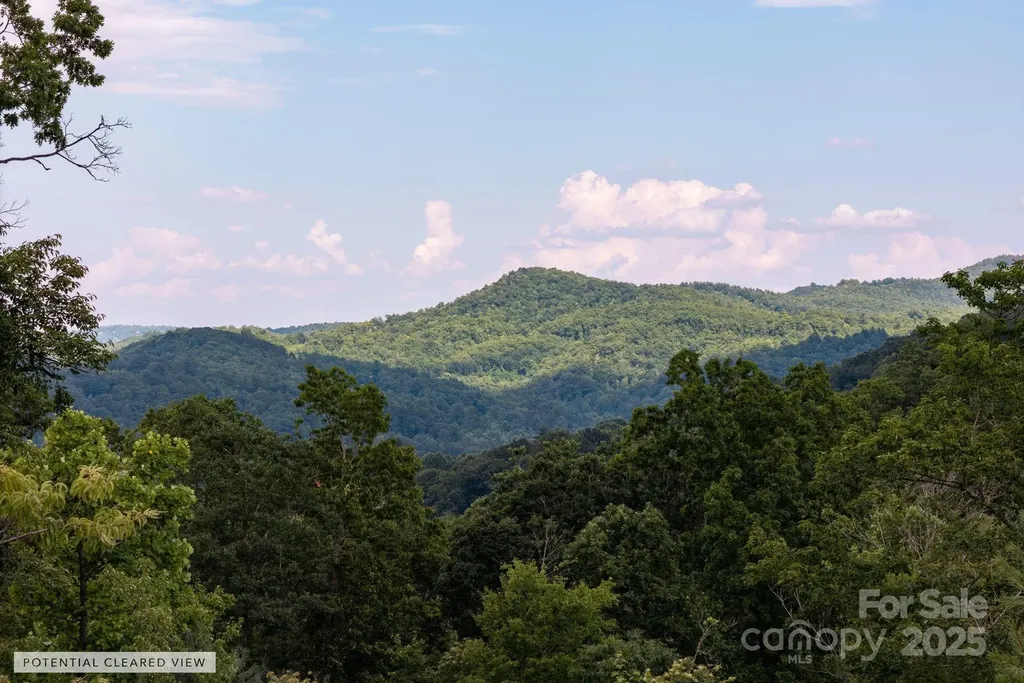 Lot # 6 Masterpiece View Drive Hendersonville NC 28739