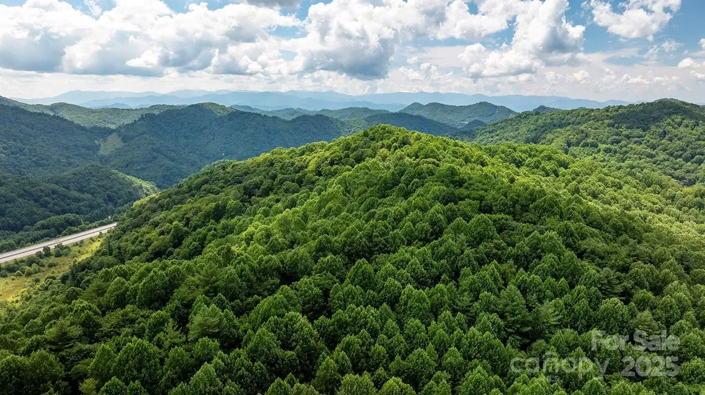 1710 Roaring Fork Road Mars Hill NC 28754