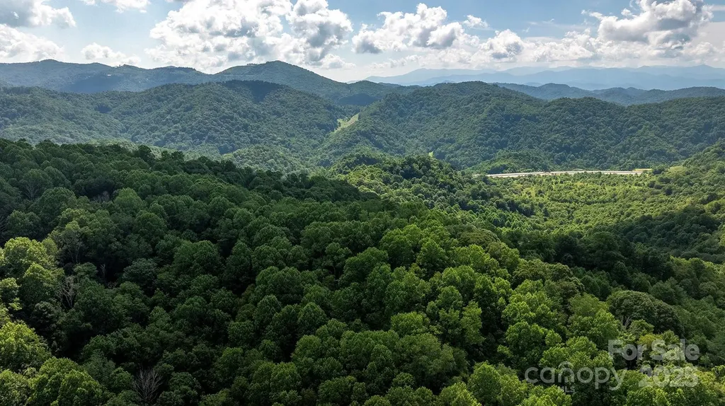 1710 Roaring Fork Road Mars Hill NC 28754