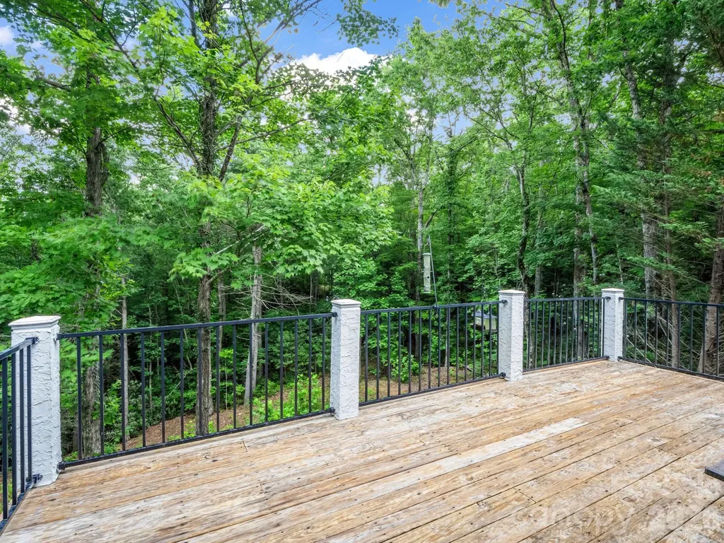 45 Brown Bear Ridge Trail Zirconia NC 28790