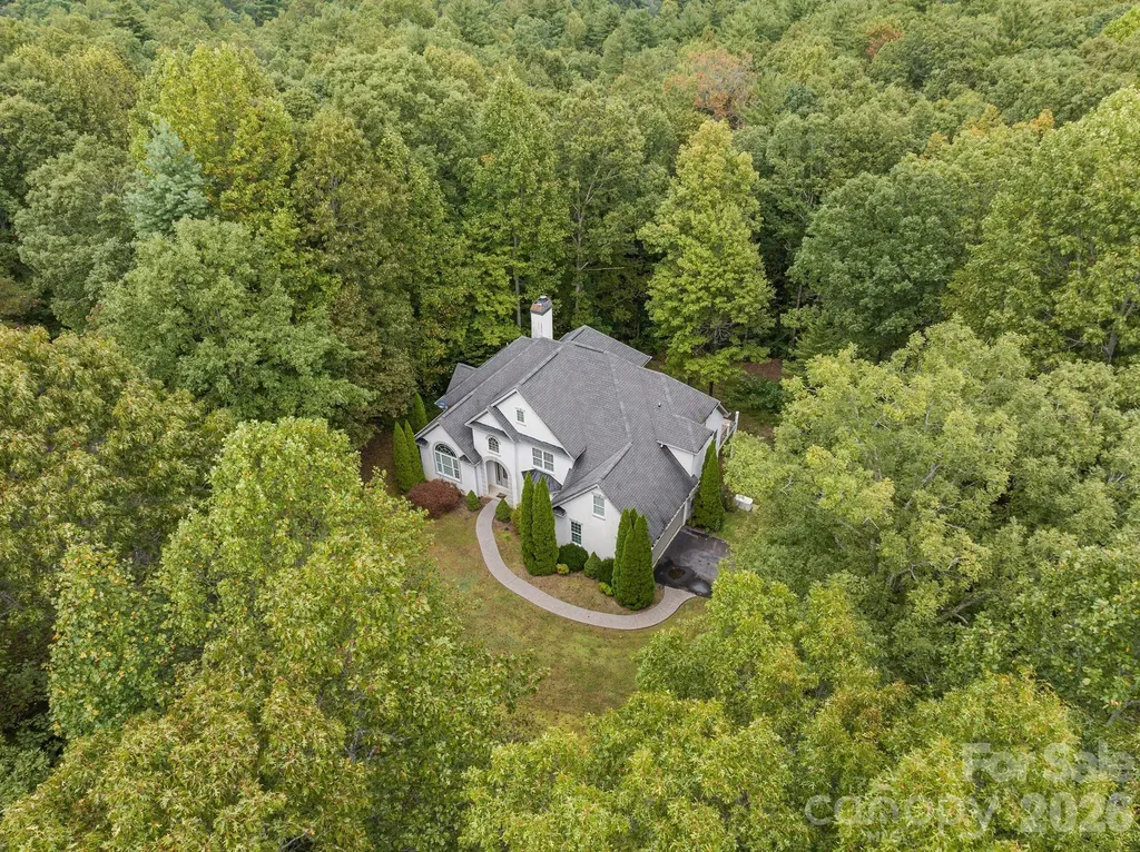 45 Brown Bear Ridge Trail Zirconia NC 28790
