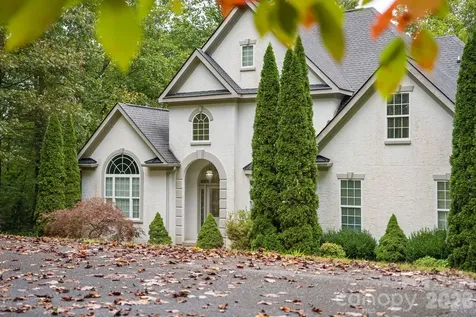 45 Brown Bear Ridge Trail Zirconia NC 28790