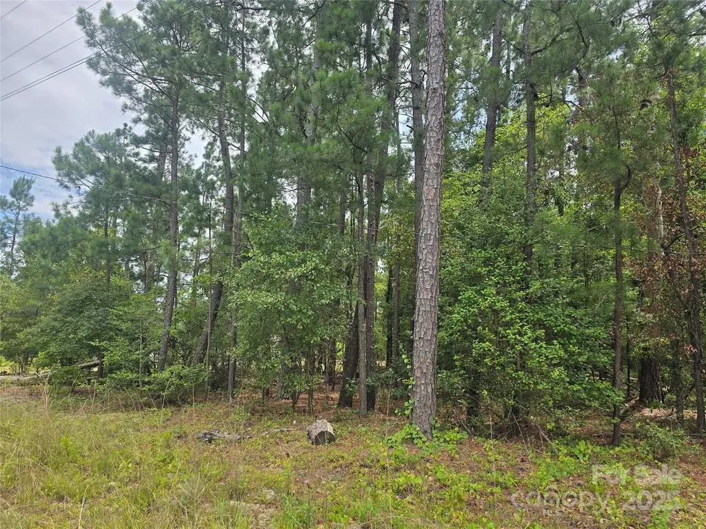 00 Johnny Williams Road Kershaw SC 29067