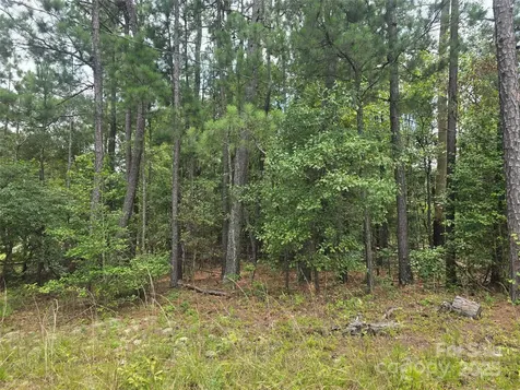 00 Johnny Williams Road Kershaw SC 29067