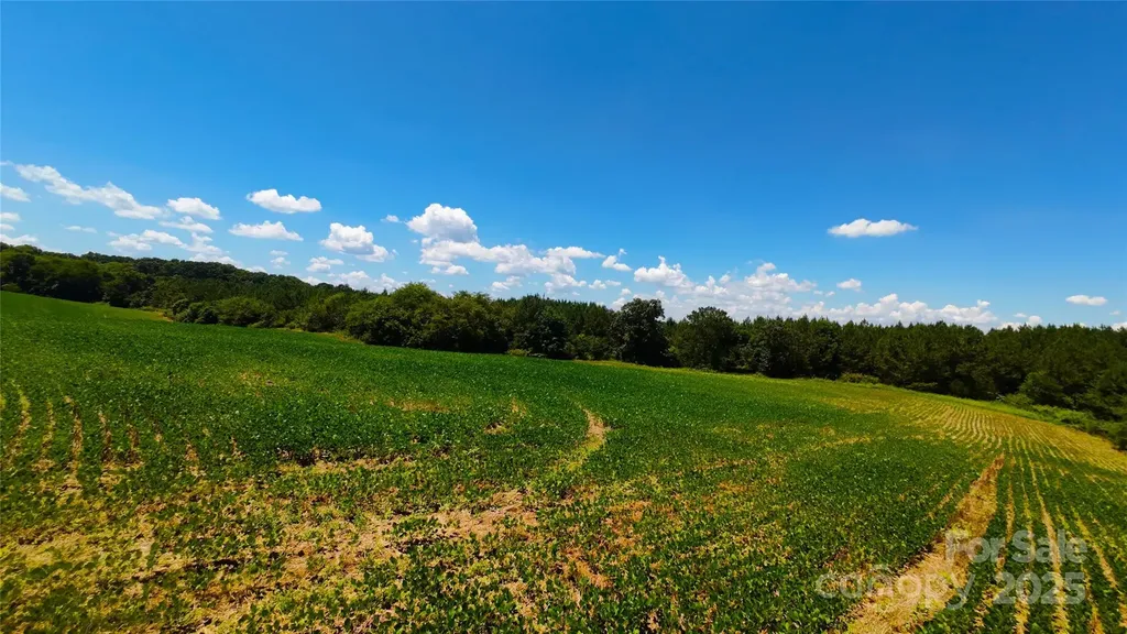 1455 Blonnie Ross Road Polkton NC 28135