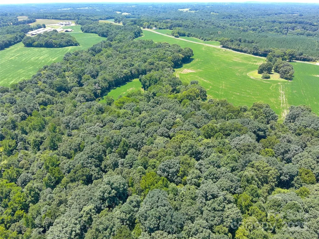 1455 Blonnie Ross Road Polkton NC 28135