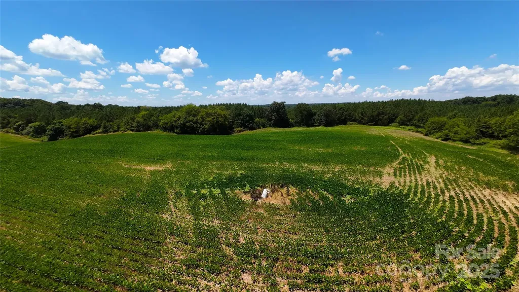 1455 Blonnie Ross Road Polkton NC 28135