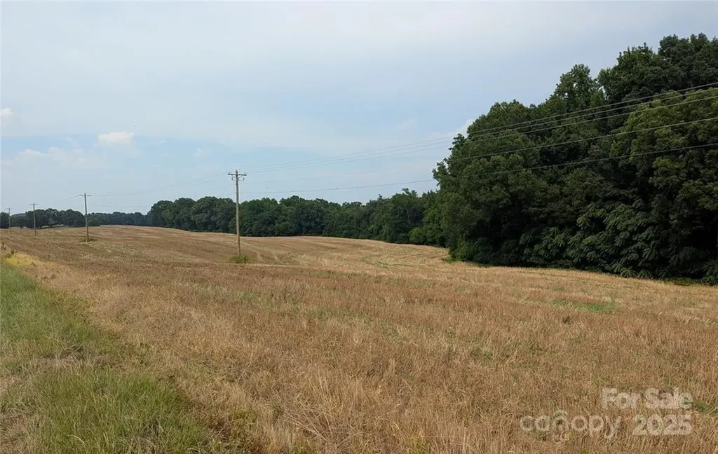 1455 Blonnie Ross Road Polkton NC 28135
