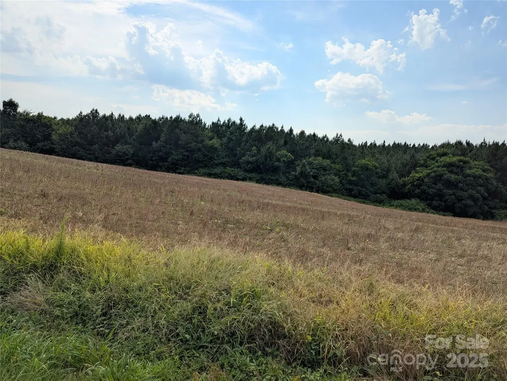 1455 Blonnie Ross Road Polkton NC 28135