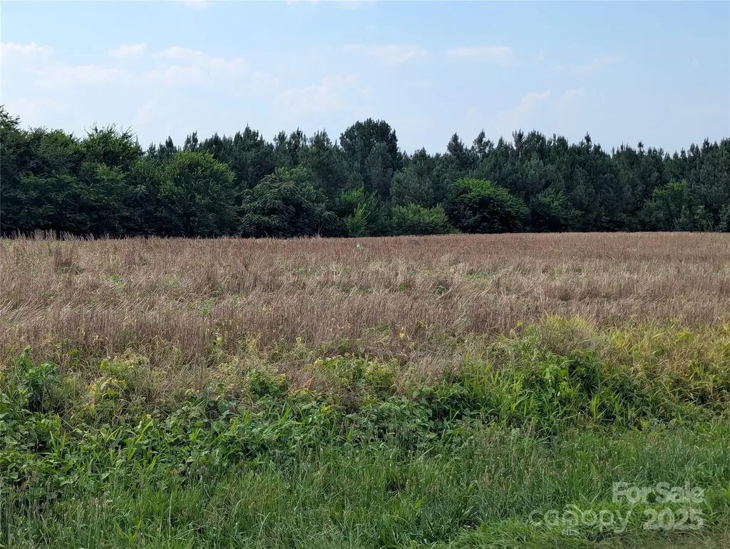 1455 Blonnie Ross Road Polkton NC 28135