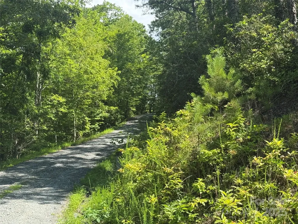 999 Ivy Lane Pisgah Forest NC 28768