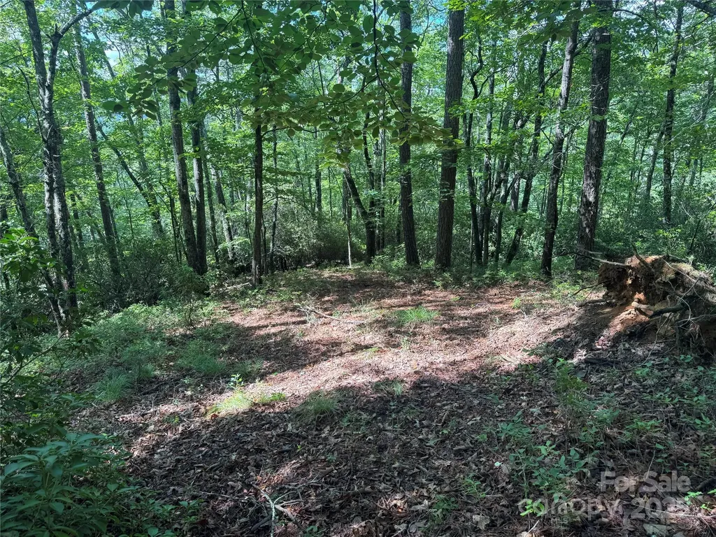 999 Ivy Lane Pisgah Forest NC 28768