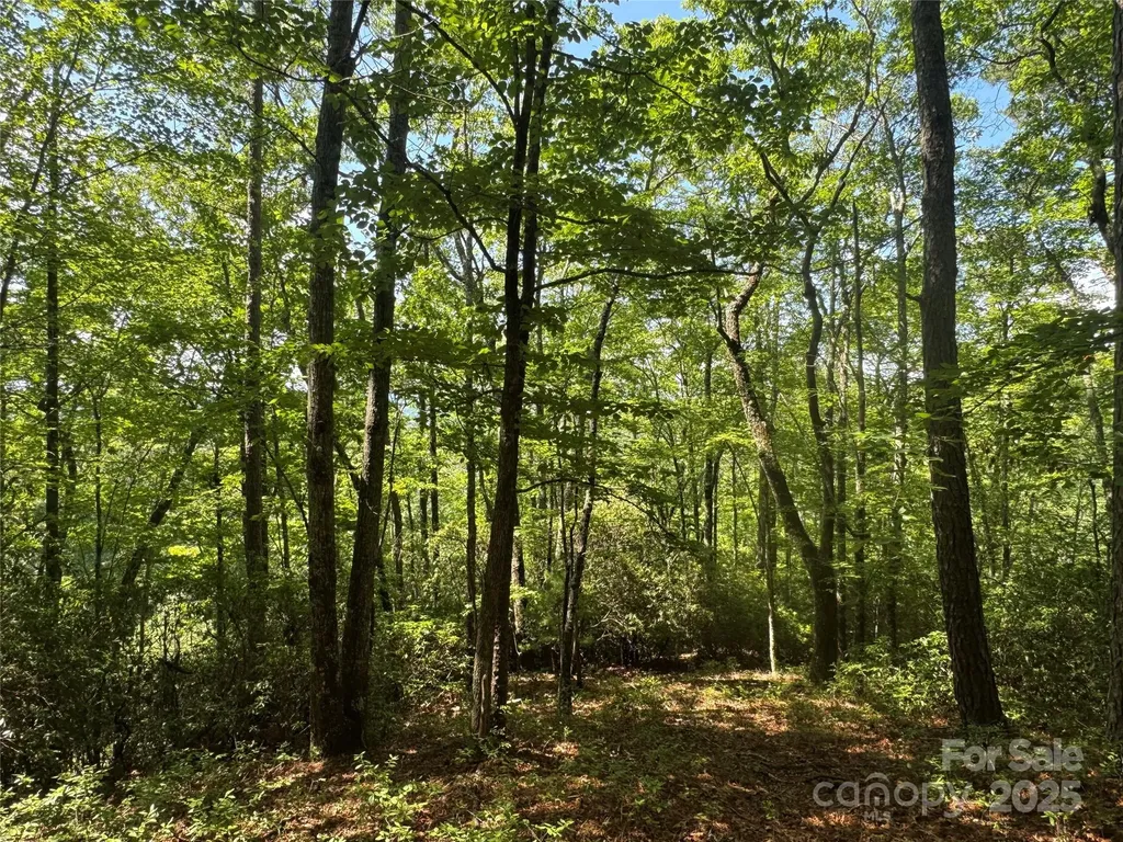 999 Ivy Lane Pisgah Forest NC 28768