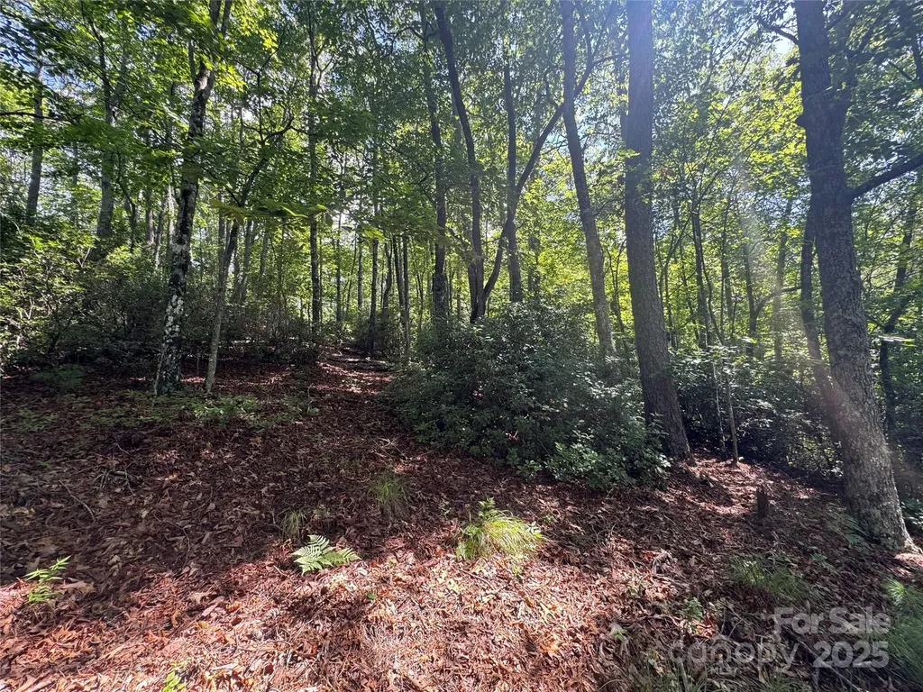 999 Ivy Lane Pisgah Forest NC 28768