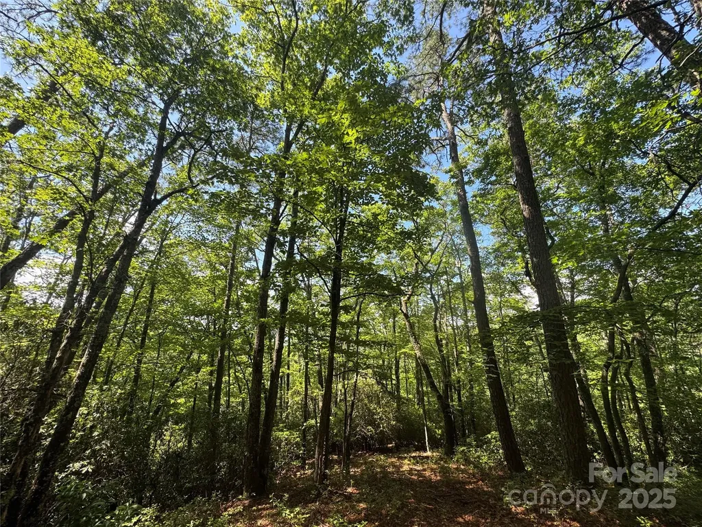 999 Ivy Lane Pisgah Forest NC 28768