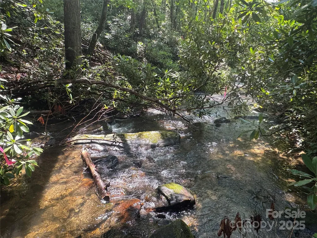 999 Ivy Lane Pisgah Forest NC 28768
