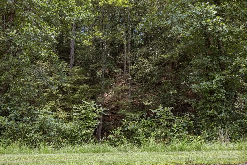 1296 Sheets Gap Road Millers Creek NC 28651