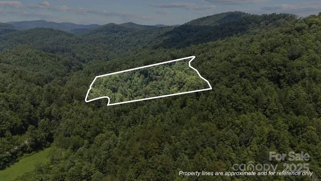 1296 Sheets Gap Road Millers Creek NC 28651