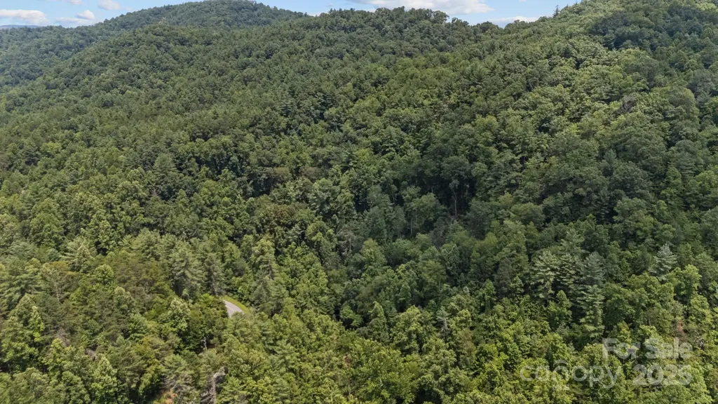 1296 Sheets Gap Road Millers Creek NC 28651