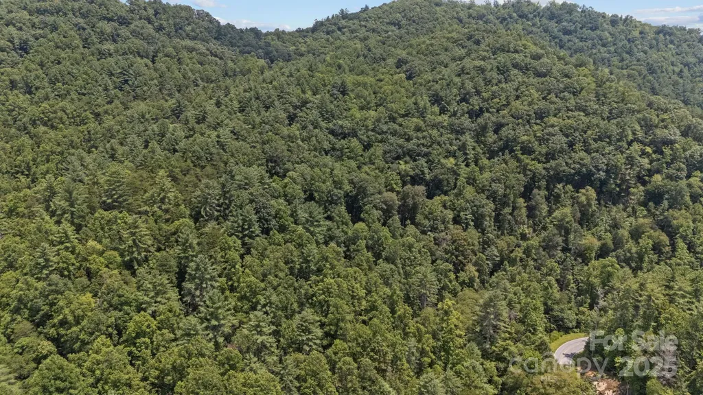 1296 Sheets Gap Road Millers Creek NC 28651