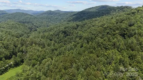 1296 Sheets Gap Road Millers Creek NC 28651