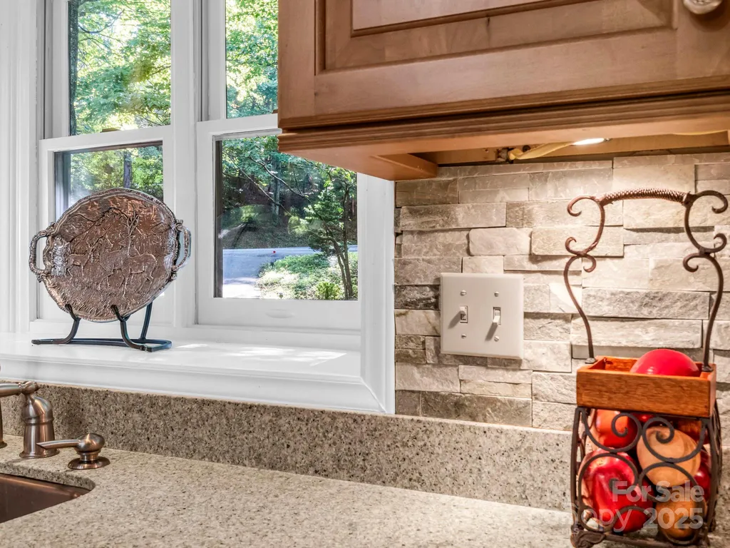 193 Downing Place Lake Lure NC 28746