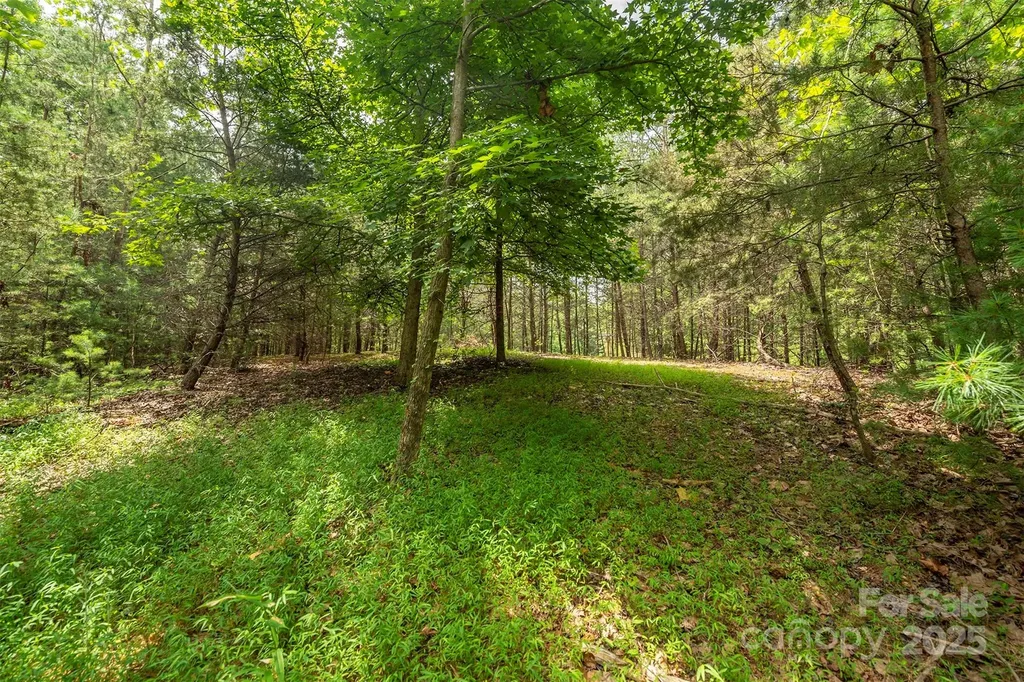 Lot 46 Black Forest Drive Marion NC 28752