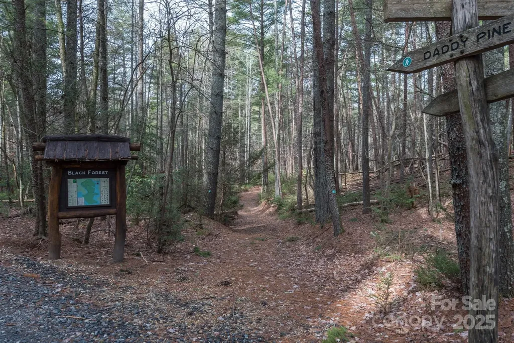Lot 46 Black Forest Drive Marion NC 28752