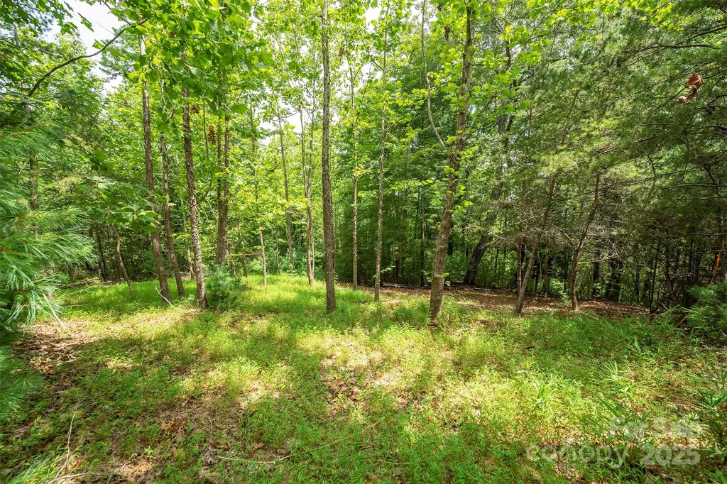 Lot 46 Black Forest Drive Marion NC 28752