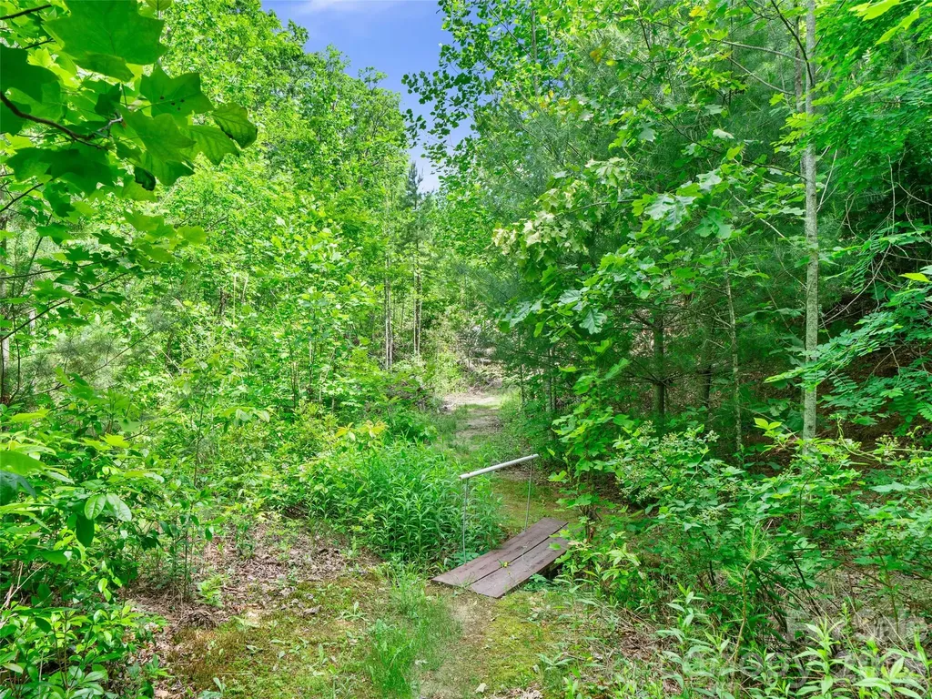 99999 Millbrae Loop S Hendersonville NC 28791
