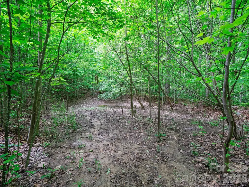 99999 Millbrae Loop S Hendersonville NC 28791