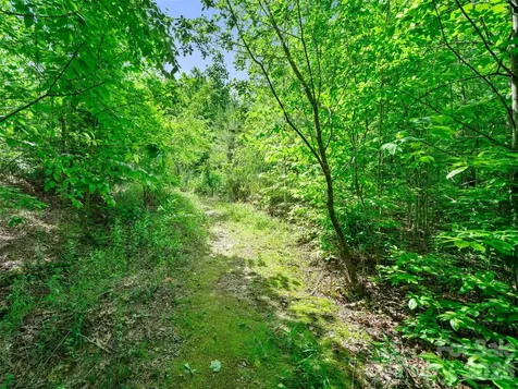 99999 Millbrae Loop S Hendersonville NC 28791