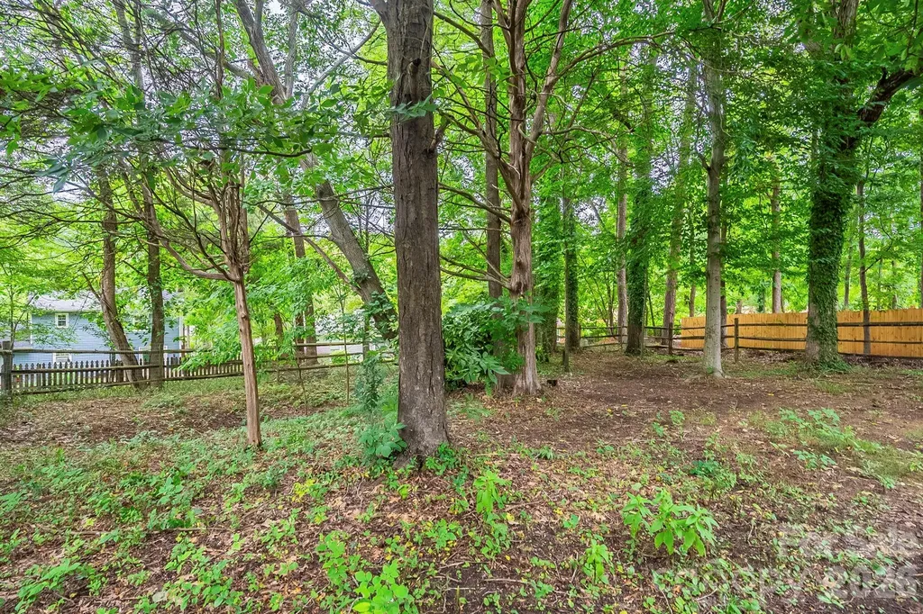 6410 Pineburr Court Charlotte NC 28211