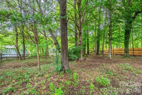6410 Pineburr Court Charlotte NC 28211