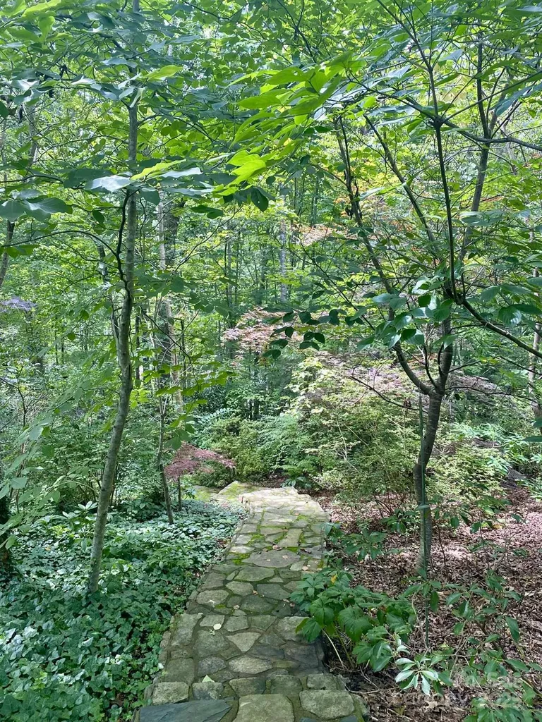 163 Gypsy Mountain Road Marion NC 28752